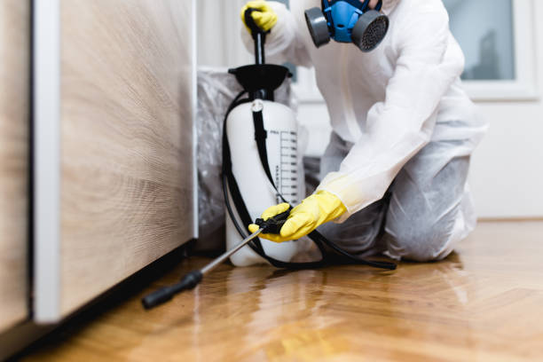 Best Emergency Pest Control  in Kearney, MO