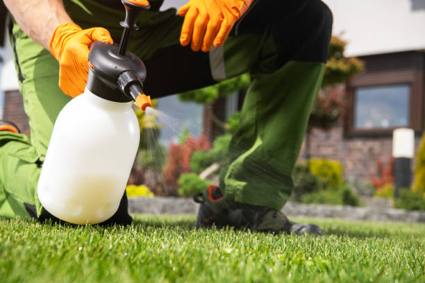 Pest Control for Restaurants in Kearney, MO