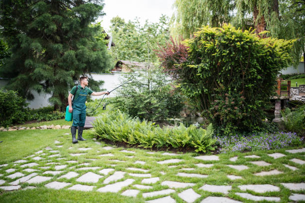 Pest Prevention Services in Kearney, MO