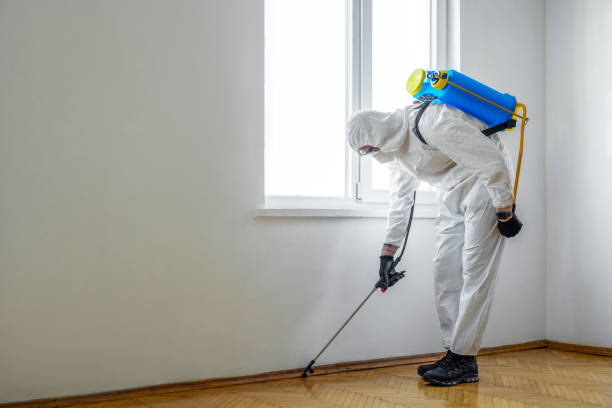 Best Emergency Pest Control  in Kearney, MO