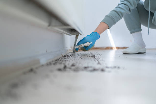 Best Residential Pest Control  in Kearney, MO