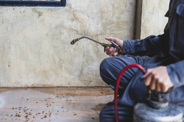 Best Exterminator Services  in Kearney, MO